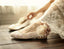 Sweet Princess Lace Pointed Toes Wedding Bridal Shoes With Handmade Flower, S029